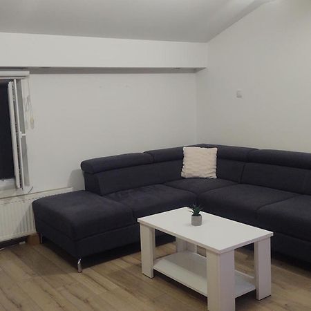 Apartman Big Novi Sad Exteriér fotografie